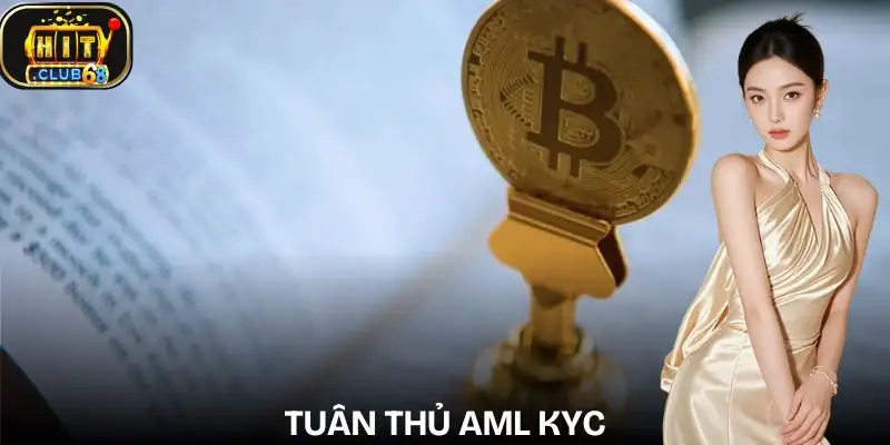 giay phep hoat dong hitclub aml kyc compliance
